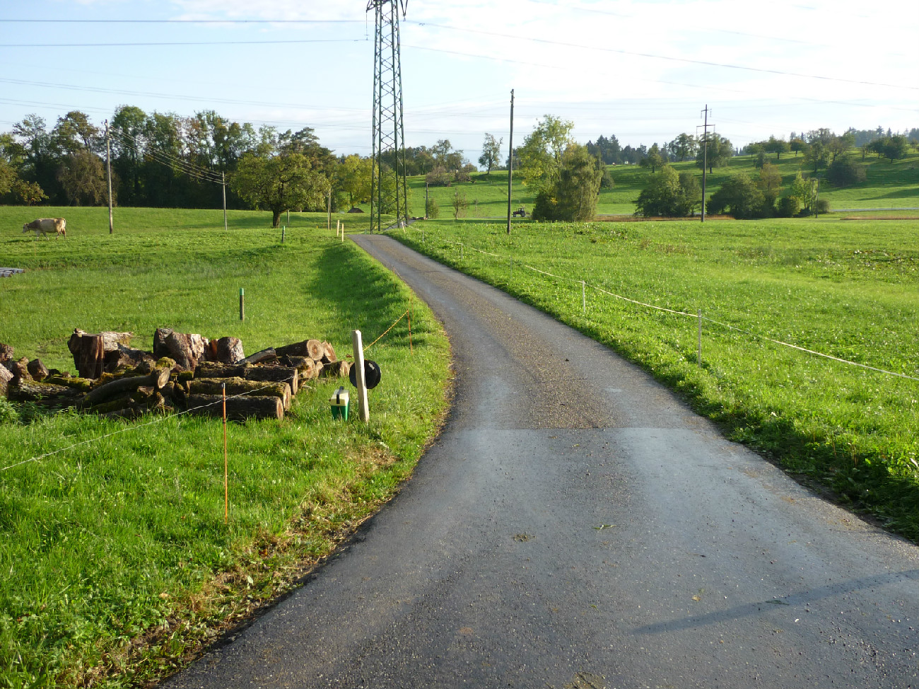 Wasserleitung Sennhusweg, 8820 Wädenswil